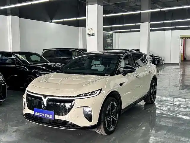 Voyah Auto Voyah Zhiyin 2025