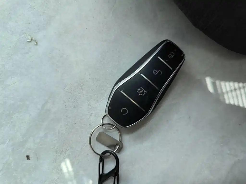 BYD Seagull 2026 2025 Smart Drive Edition 305km Vitality Version