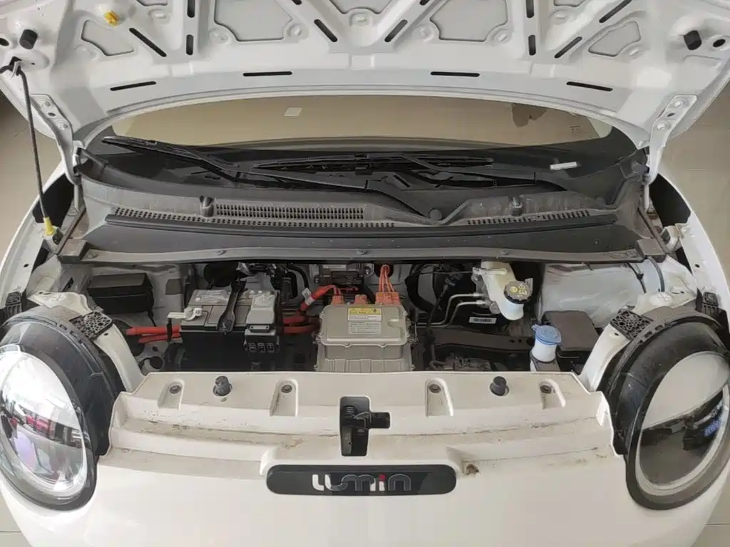 Changan Qiyuan Changan Lumin 2026 2026 Model 205km Treasure Edition