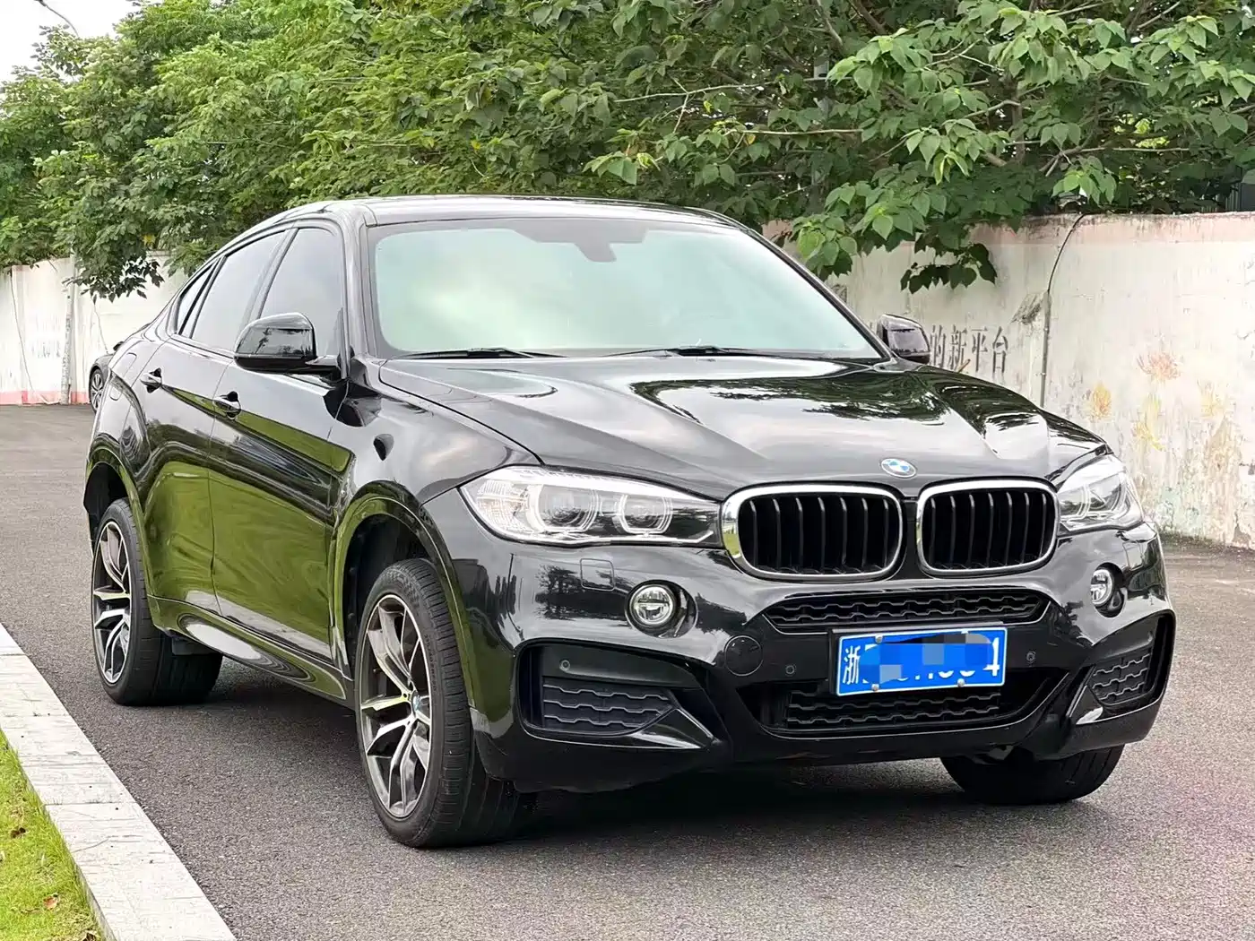BMW X6 2018 xDrive28i фото 3