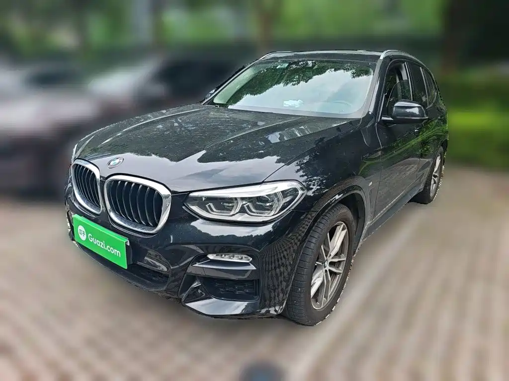 BMW X3 2018 2018 xDrive25i M Sport Package China V