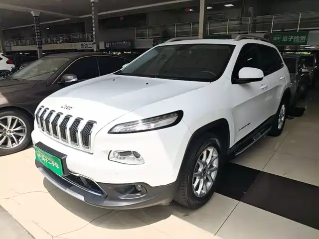  Jeep Cherokee 2016 2.4L Professional Edition