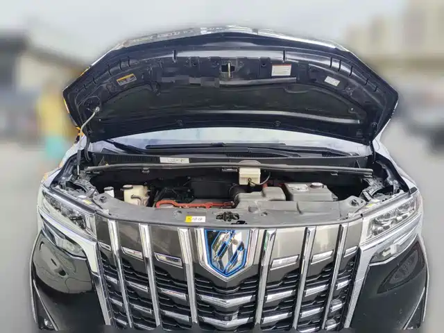 Toyota Alphard 2019 Hybrid 2.5L Luxury — фото 3
