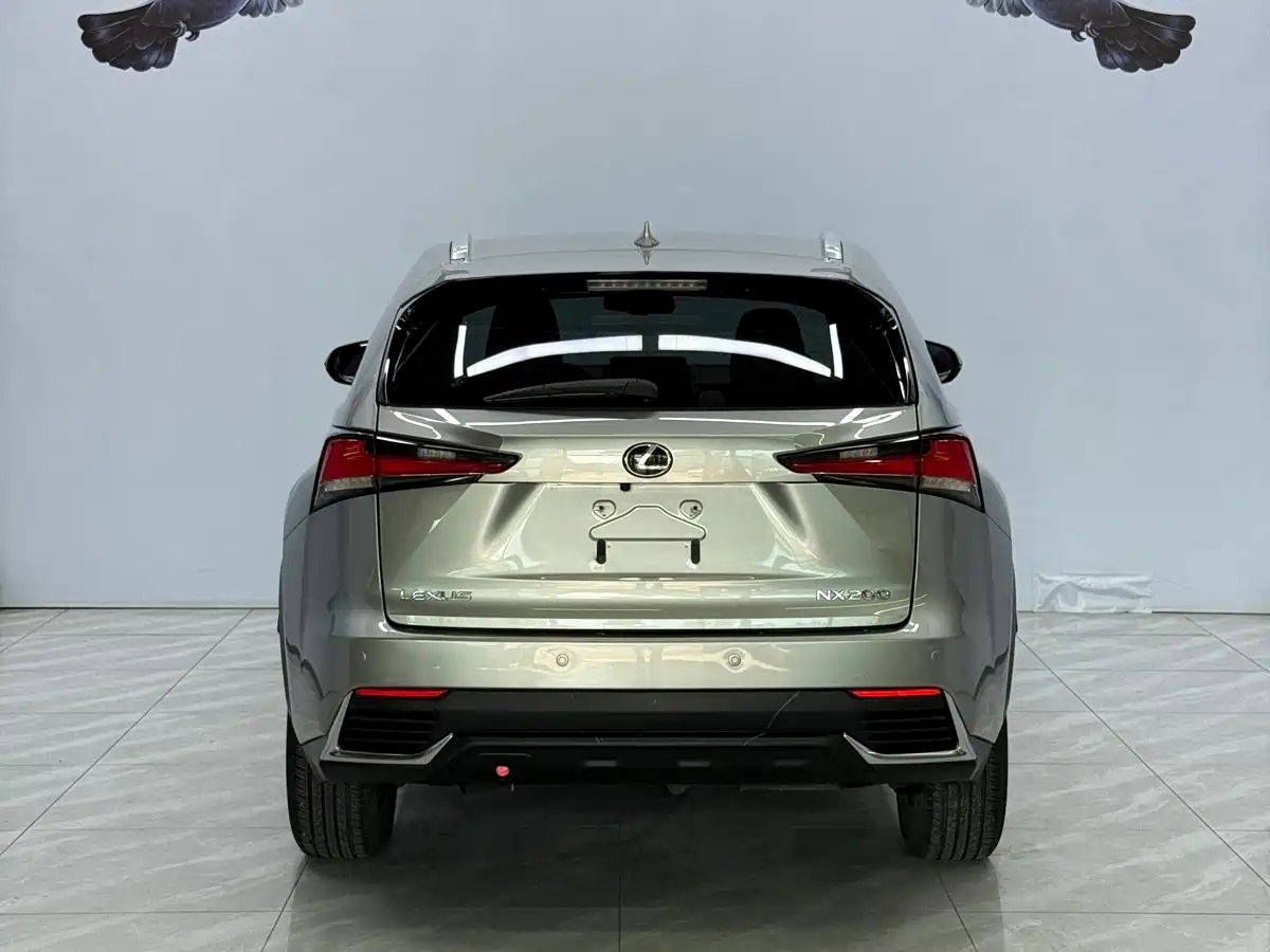 Lexus NX 2020 200 AWD F Sport China VI фото 5