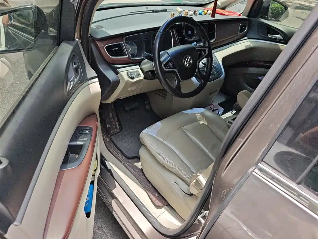 Buick GL8 2014 2.4L LT Luxury Business Executive фото 14
