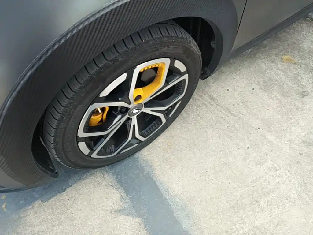 Ora Good Cat GT 2024 2023 Mulan Edition 401km Honor Model