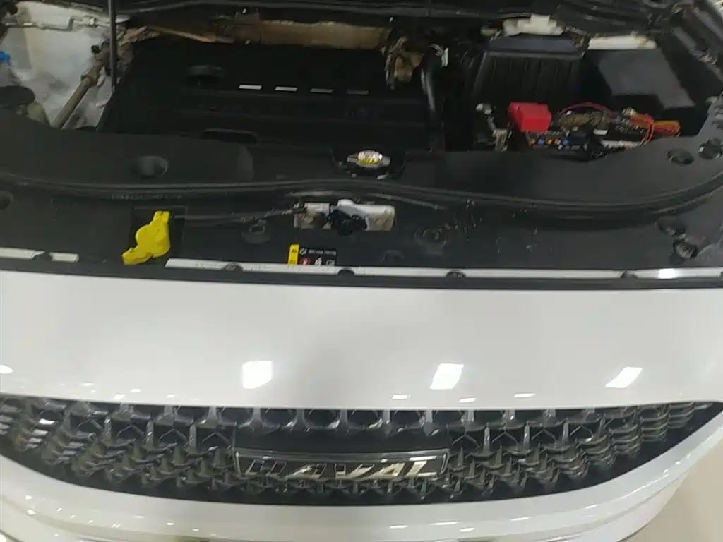 Haval M6 2019 1.5T DCT 2WD Value Edition (China VI) фото 20