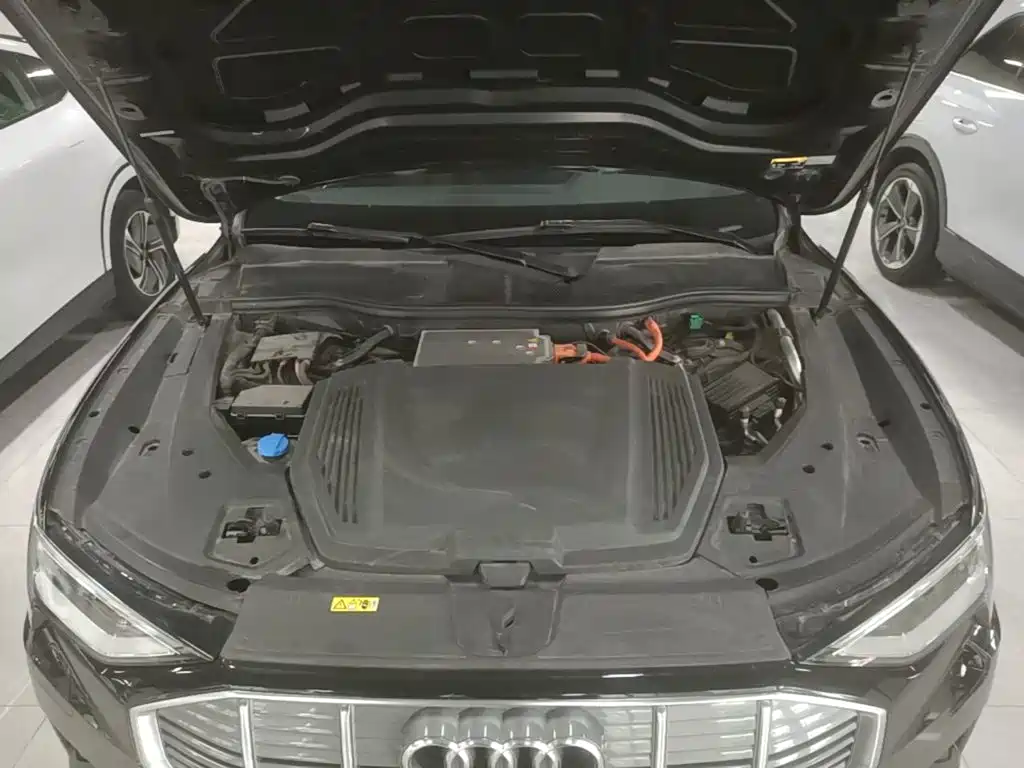 Audi e-tron (Import) 2020 2019 55 quattro Technology