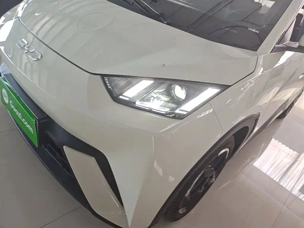 BYD Seagull 2024 Glory Edition 305km Freedom Edition фото 24