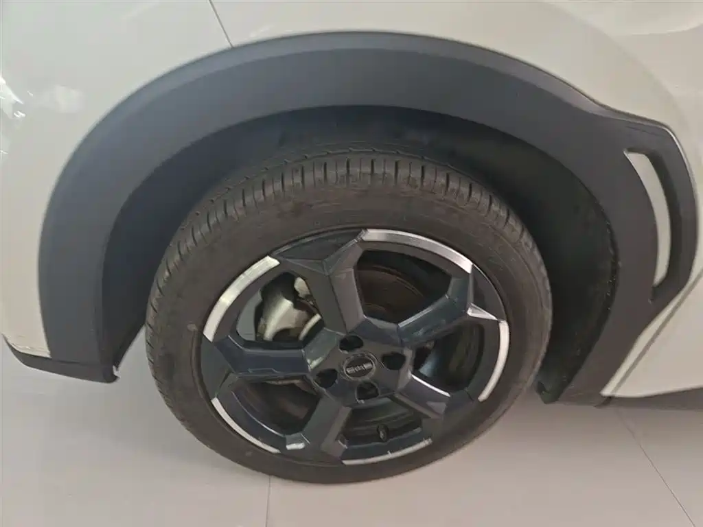 BYD Seagull 2024 Glory Edition 305km Freedom Edition фото 23