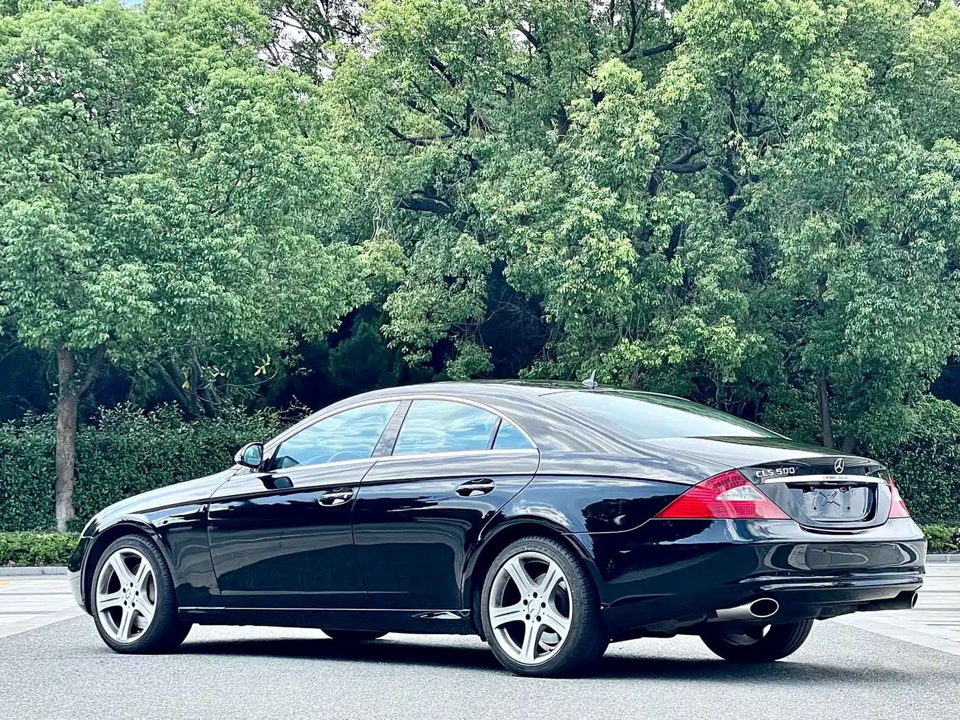 Mercedes-Benz CLS 2008 CLS 500 фото 7