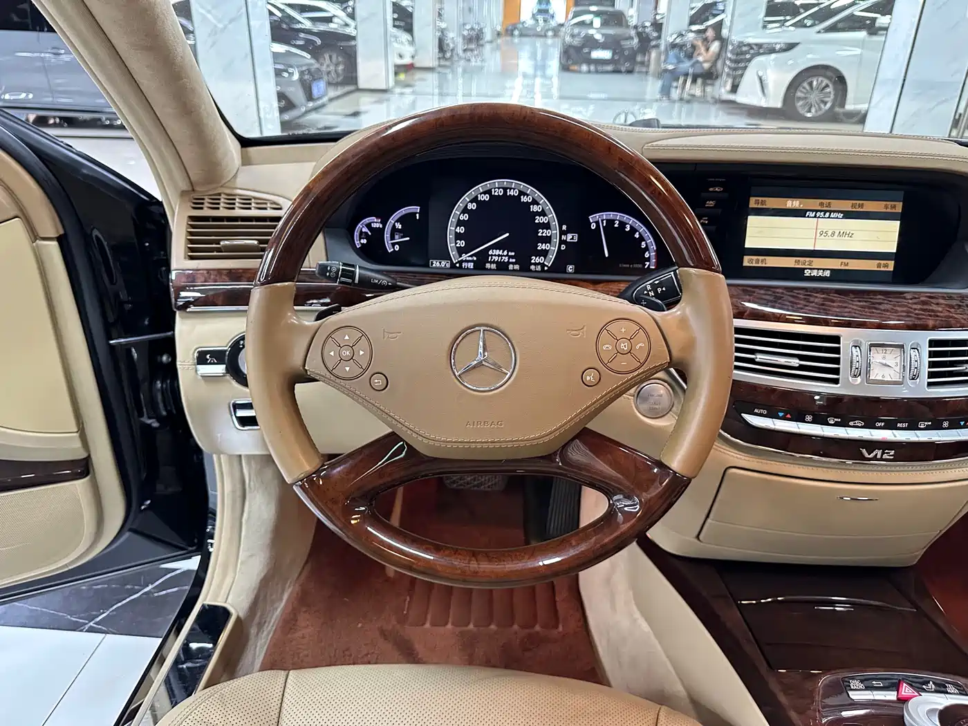 Mercedes-Benz S-Class 2010 S 600 L фото 14
