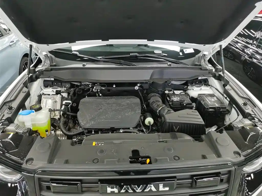 Haval Big Dog 2026 Model 1.5T High Configuration фото 16