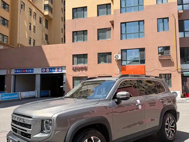 Haval Haval Big Dog 2024 1.5T DCT Border Collie Edition