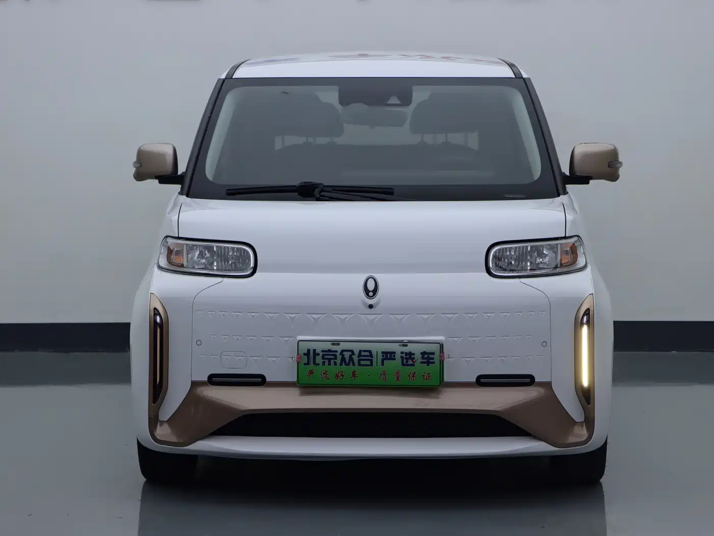 Ora White Cat 2022 2022 Wildcat Edition 401km Flagship (NMC)