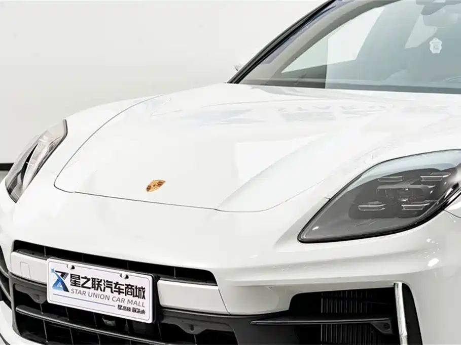 Porsche Panamera 2024 Panamera 4 Executive Long Wheelbase 2.9T фото 4