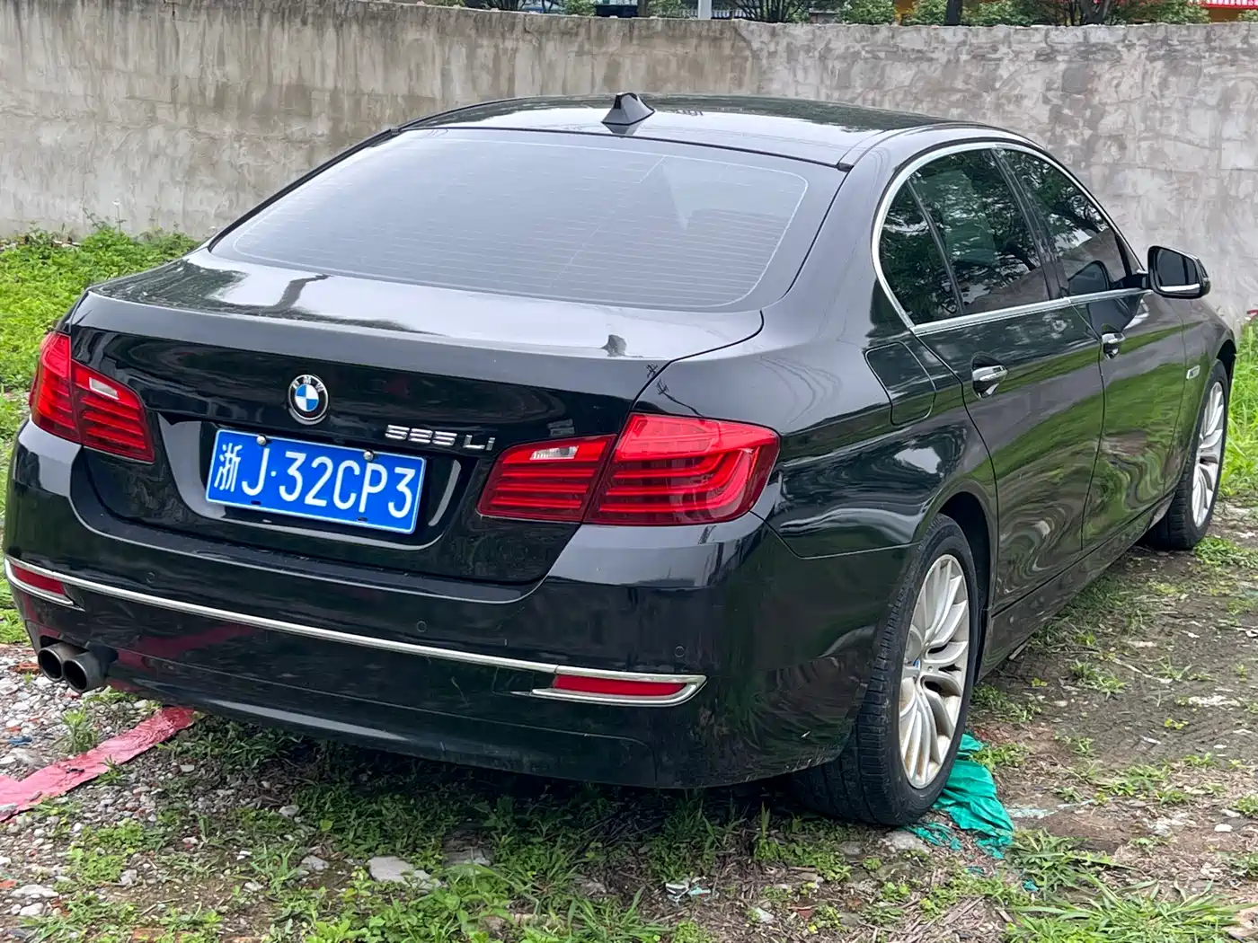 BMW 5 Series 2017 525Li Luxury Design Package фото 6