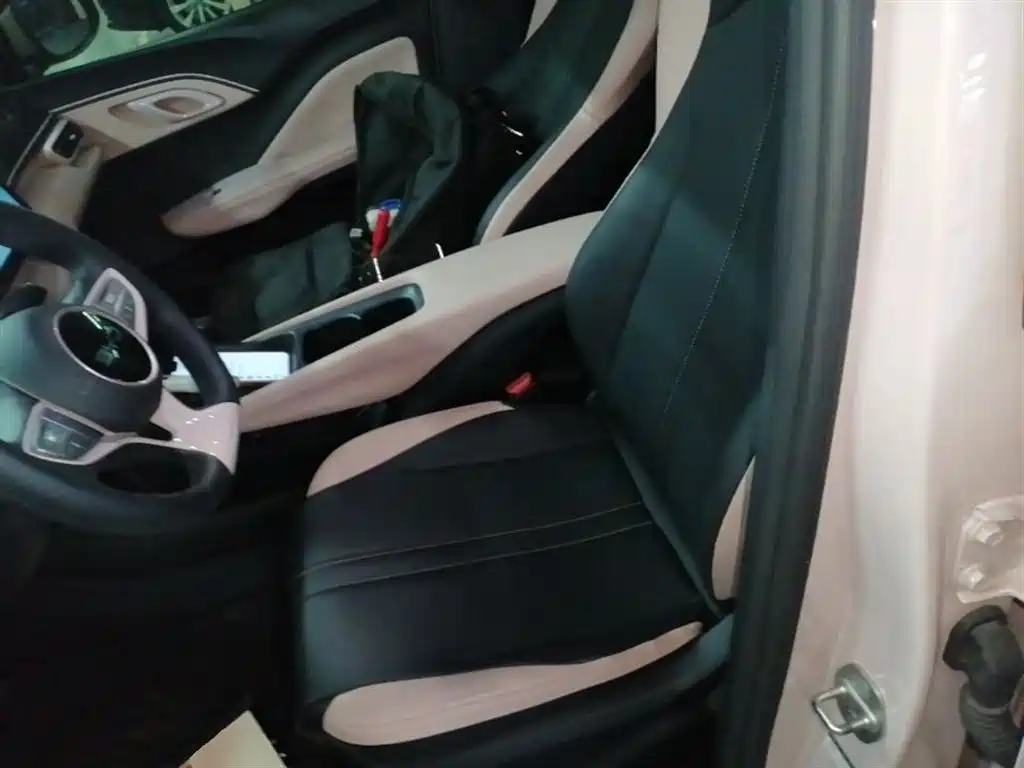 BYD Seagull 2025 Smart Drive Edition 305km Vitality Version фото 15