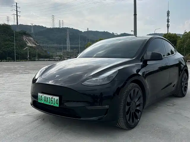 TESLA MODEL Y