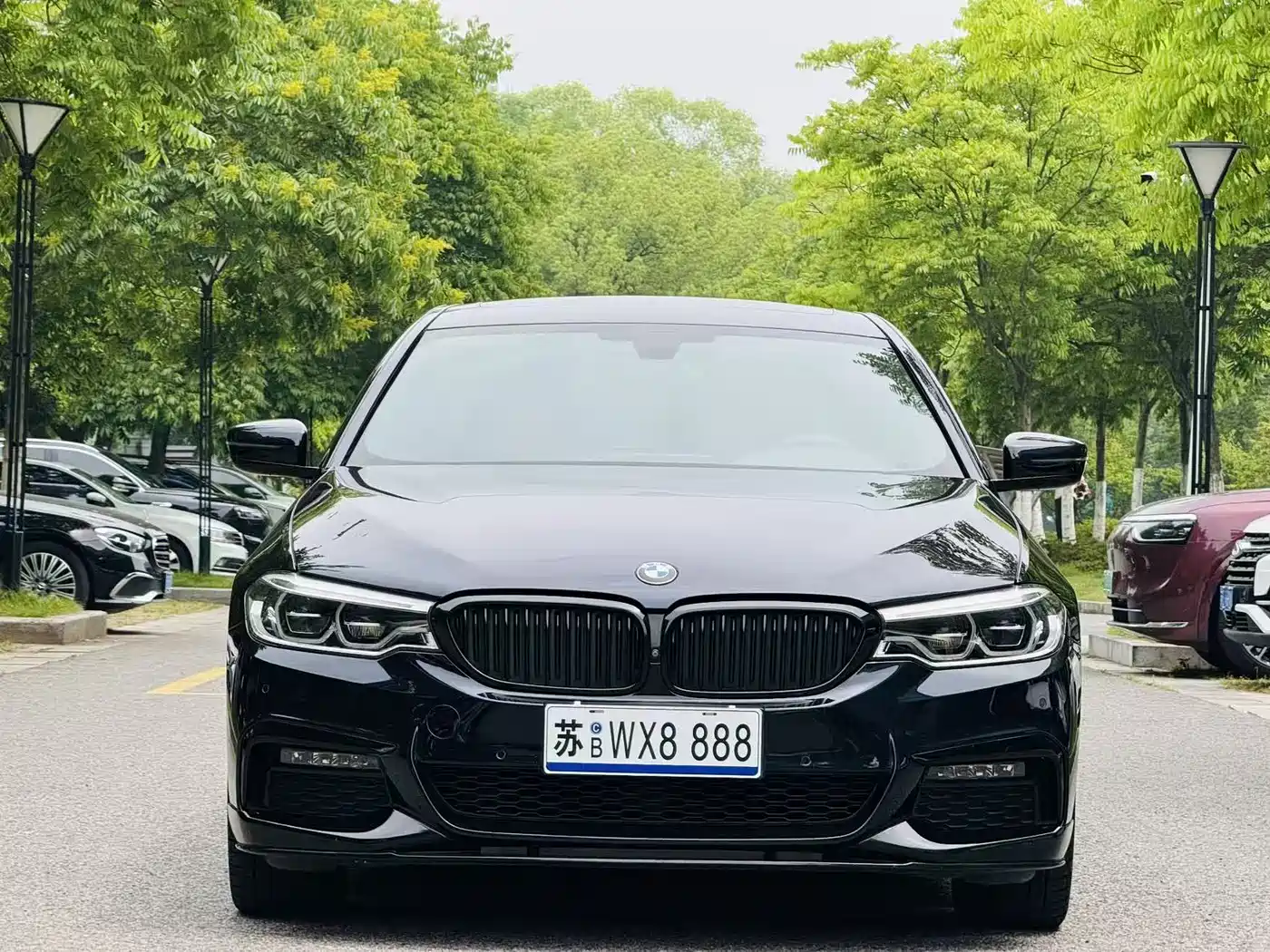 BMW 5 Series 2019 530Li Premium M Sport Package фото 2