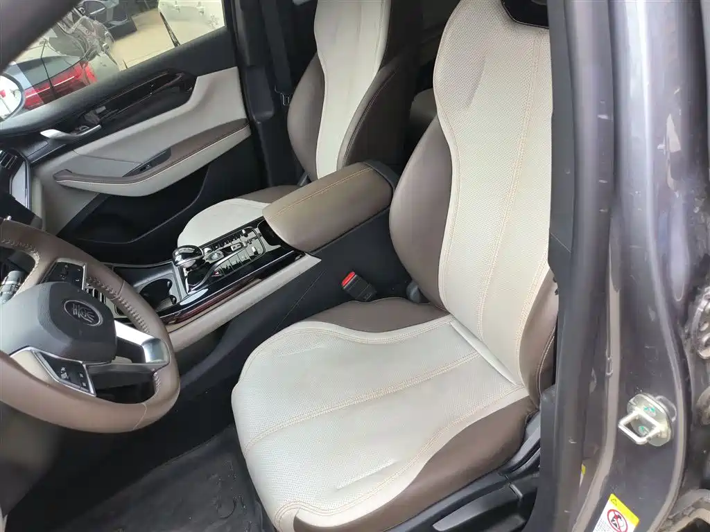 BYD Qin PLUS 2024 Glory Edition DM-i 55KM Leading фото 15