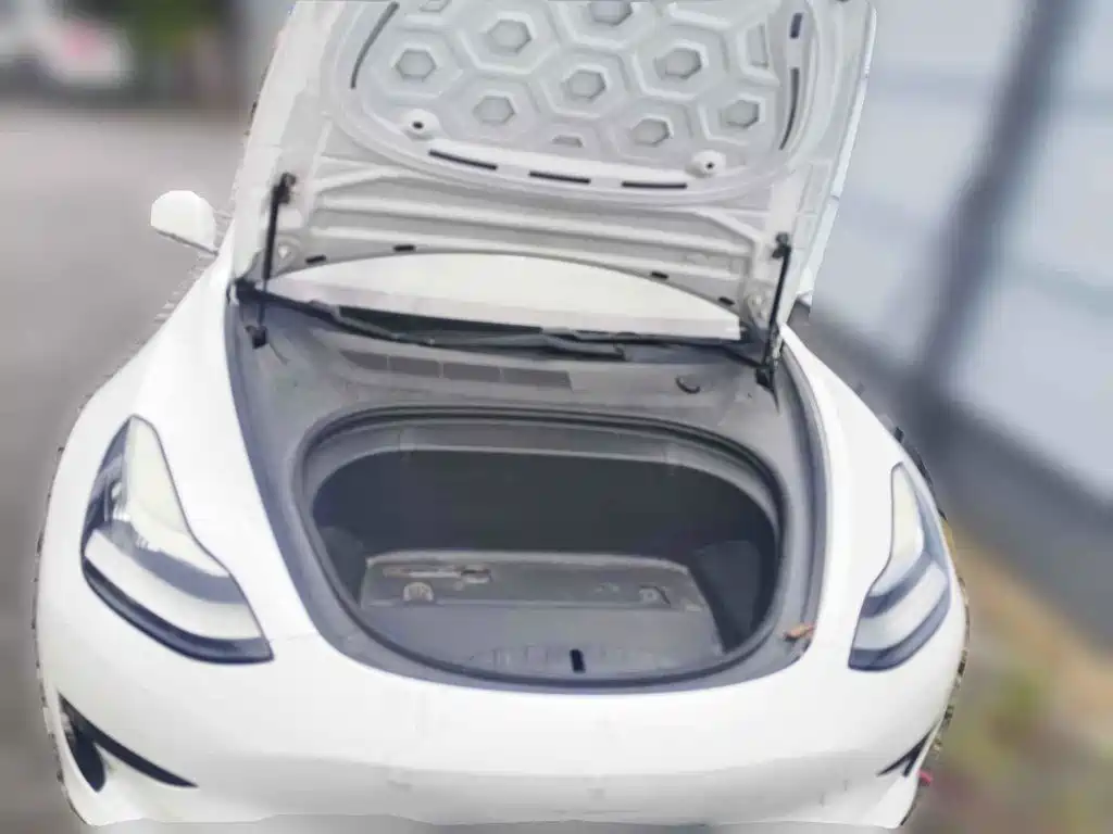 2020 Tesla Model 3 (Import)