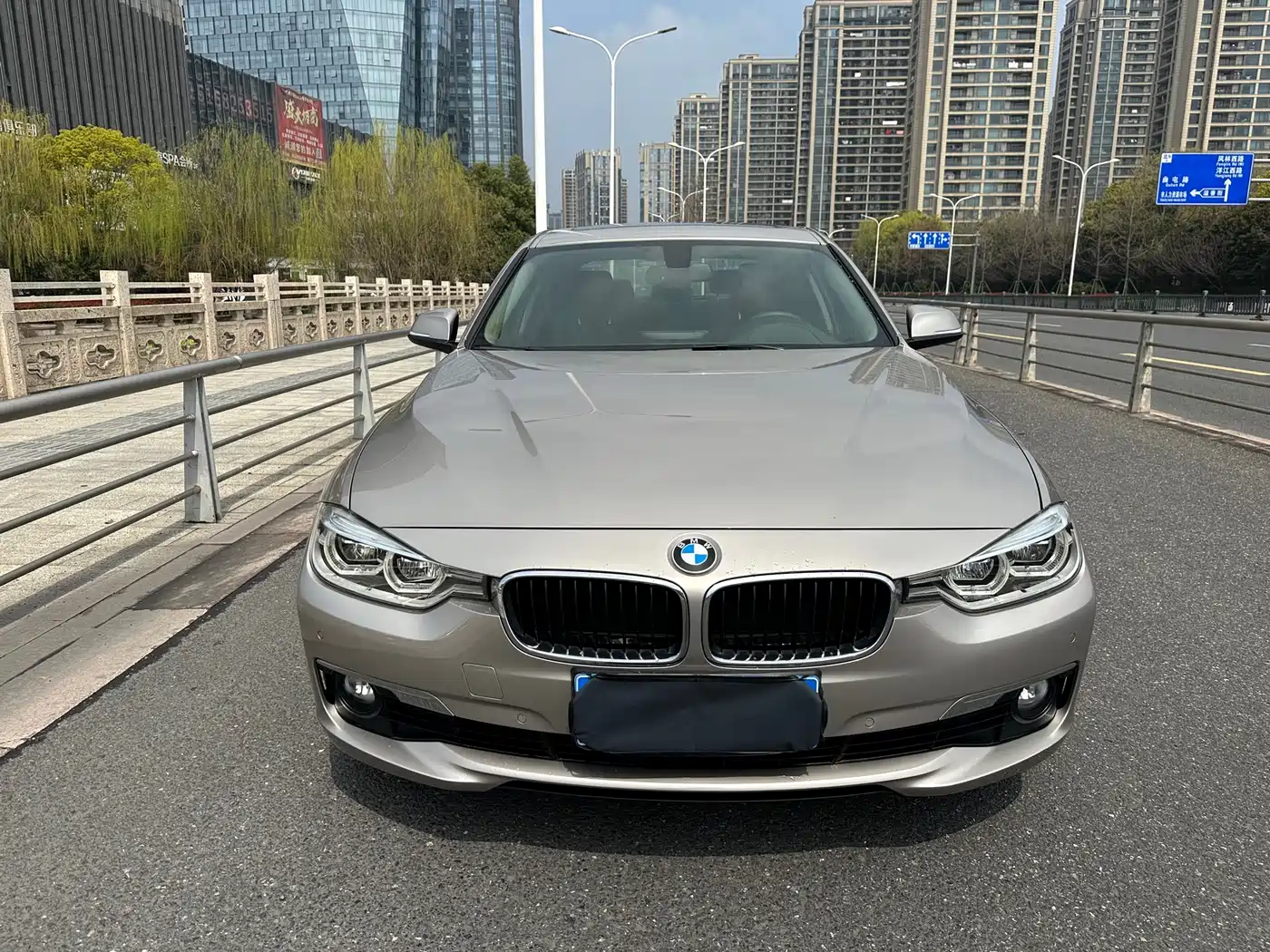 BMW 3 Series 2017 320Li Fashion фото 2
