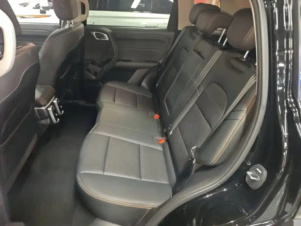 Haval Big Dog 2025 2024 1.5T DCT Border Collie Edition