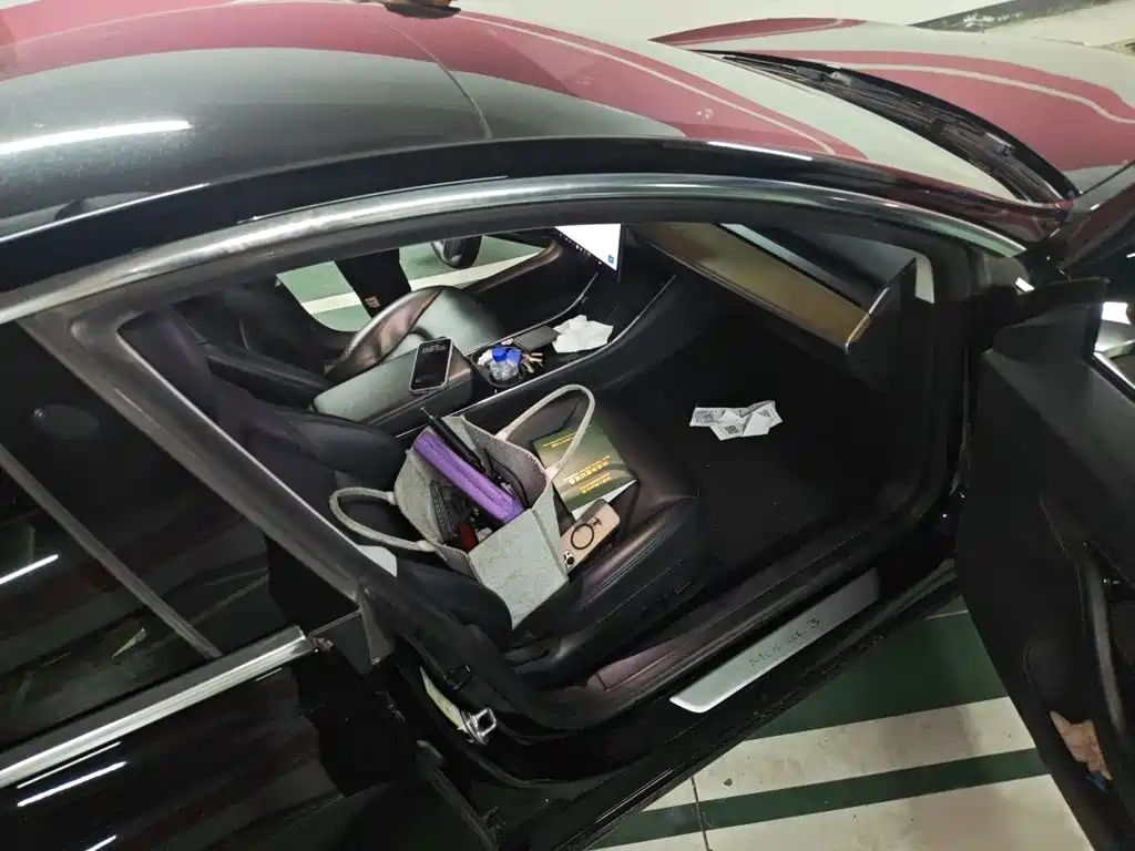 Tesla Model 3 2020 2020 Standard Range Rear-Wheel Drive Upgrade
