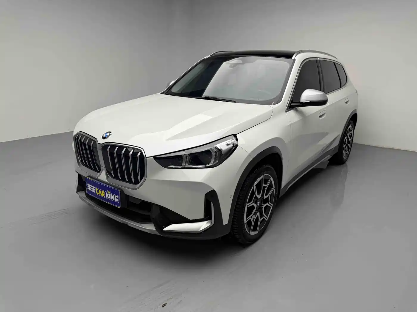 BMW X1 2024 sDrive25Li X Design Package