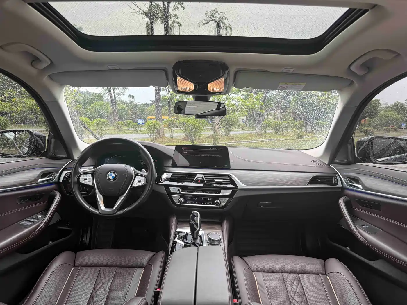 BMW 5 Series 2020 530Li Premium Luxury Package фото 10