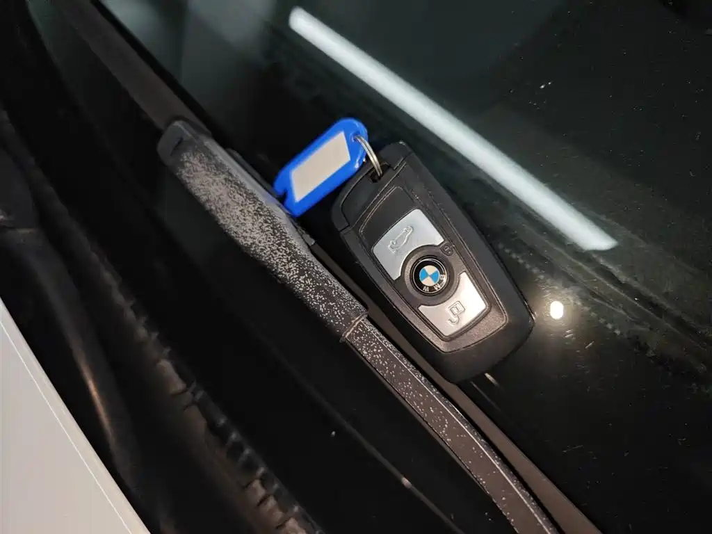 BMW 3 Series 2018 320Li Fashion Style фото 9