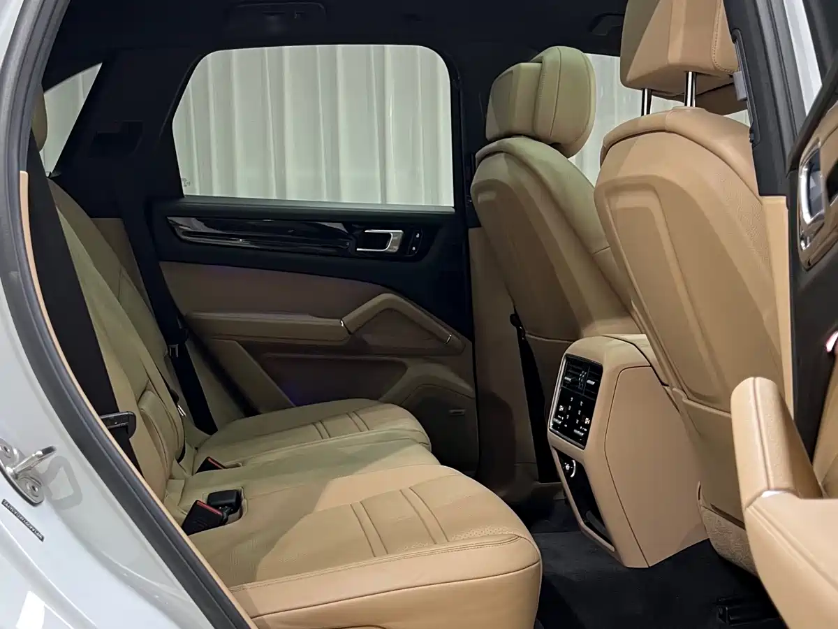 Porsche Cayenne 2019 Cayenne 3.0T фото 19