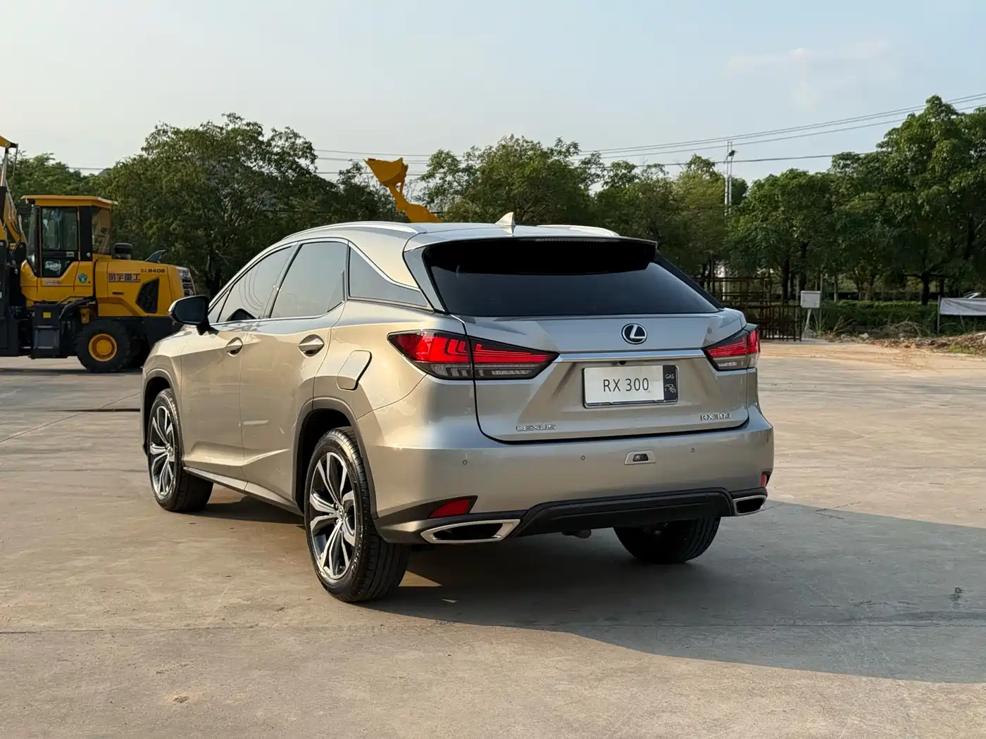 Lexus RX 2021 300 AWD Special Edition фото 7