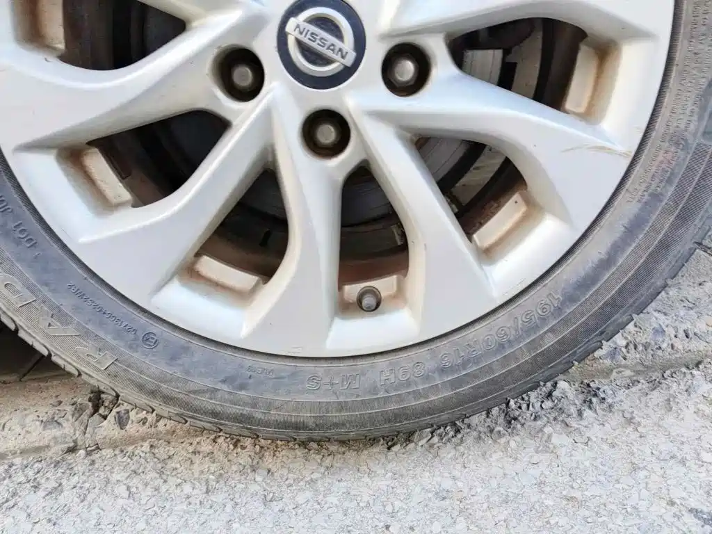 Фото 7 - Nissan Sylphy