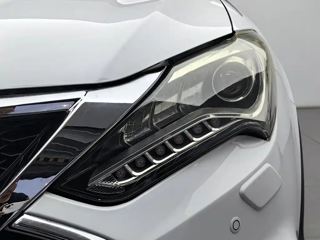 Фото 7 - BYD Tang New Energy