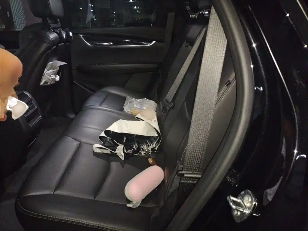Cadillac XT5 2021 2.0T 2WD Luxury Edition фото 18