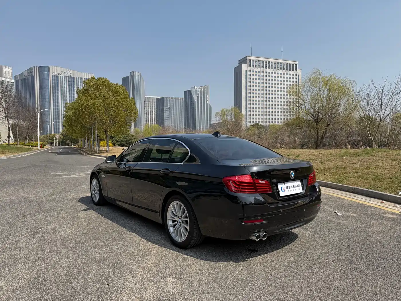 BMW 5 Series 2014 520Li Elegance фото 8