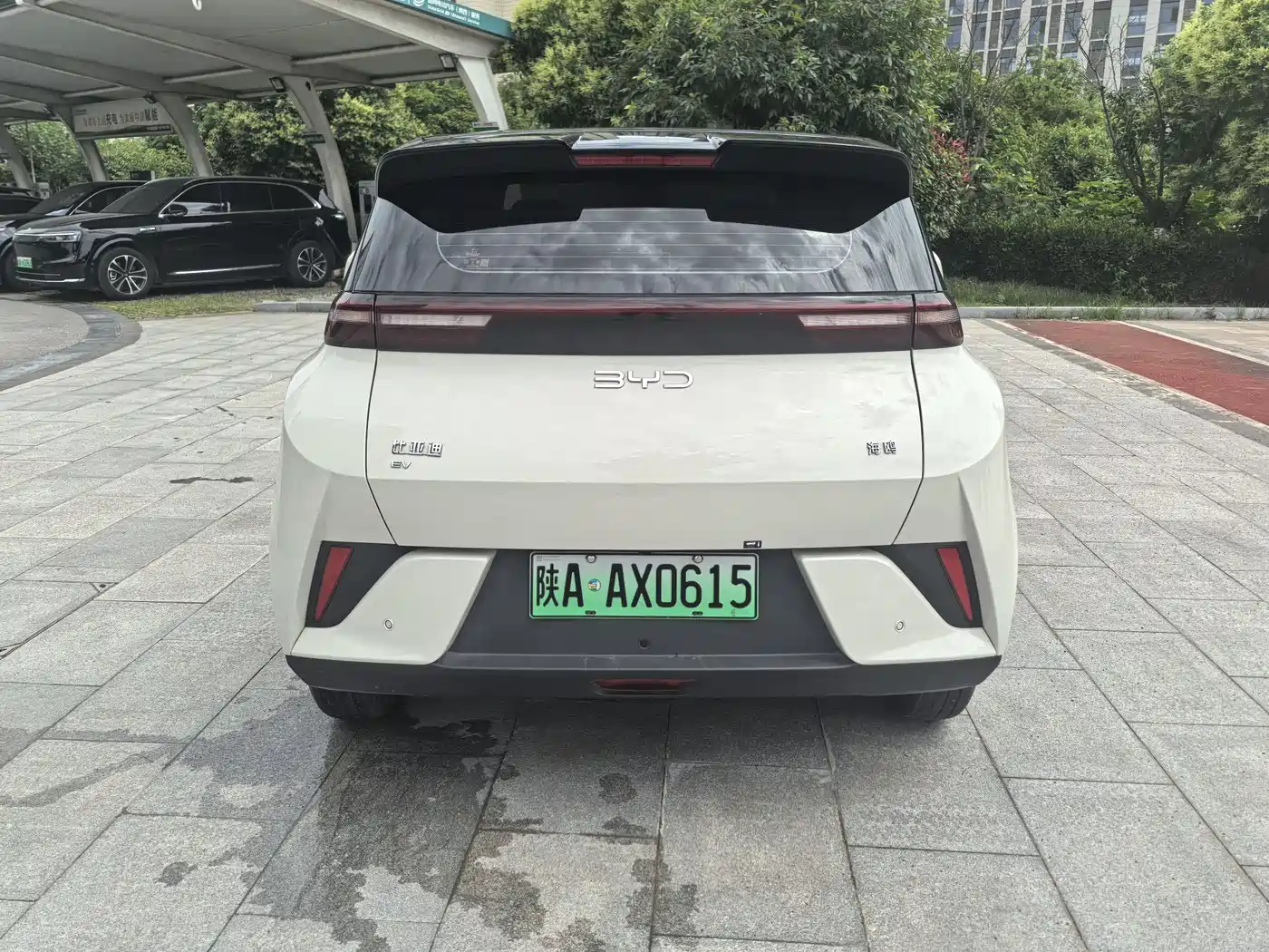 BYD Seagull 2025 Smart Drive Edition 305km Vitality Version фото 13