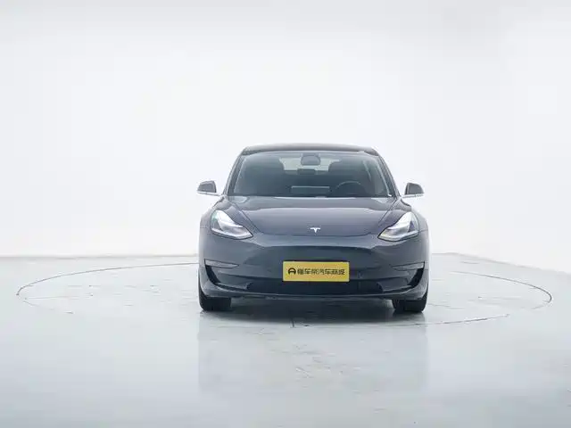 TESLA MODEL 3 (IMPORTED)