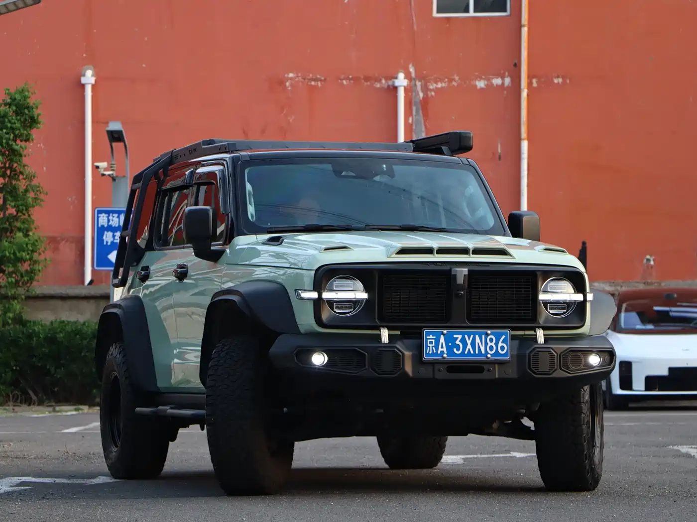 Tank 300 2021 2.0T Wind Forest Iron Cavalry фото 2