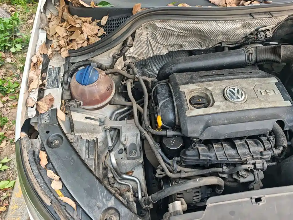 Volkswagen Tiguan 2016 Model 300TSI Automatic 2WD Luxury Edition фото 22