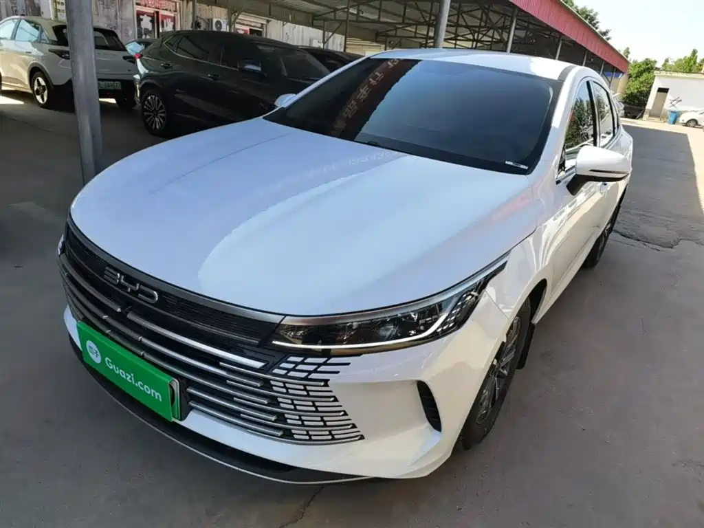 BYD Destroyer 05 2024 Glory Edition DM-i 55KM Luxury