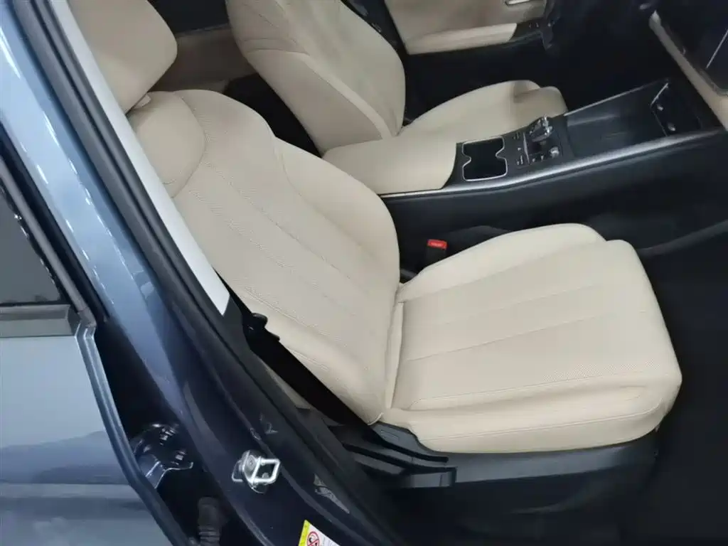 BYD Song Pro New Energy 2025 2nd Gen DM-i 75KM Leading Type фото 25