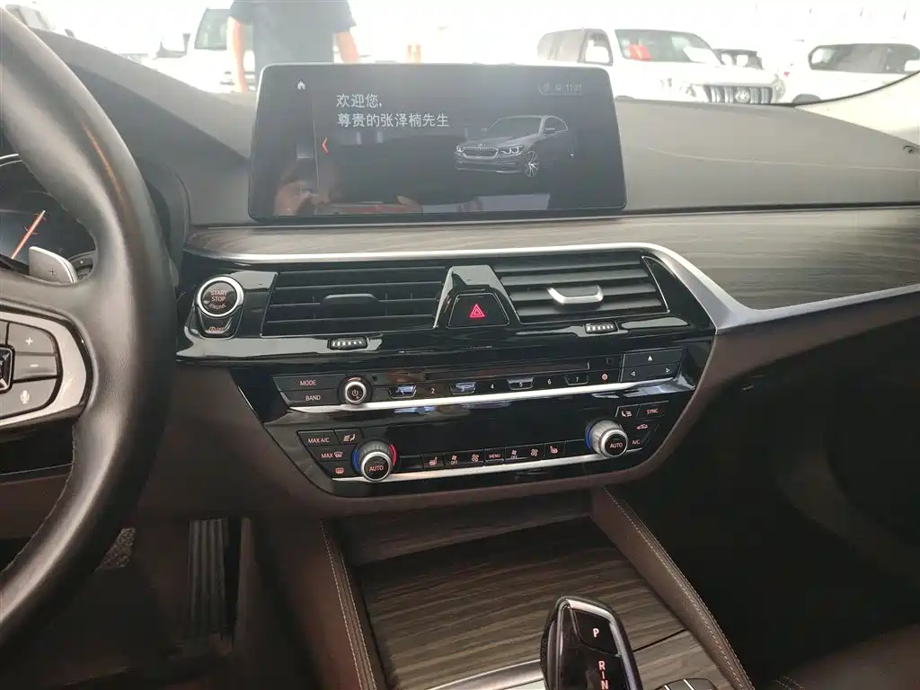 BMW 5 Series 2018 530Li Leading Luxury Package фото 11