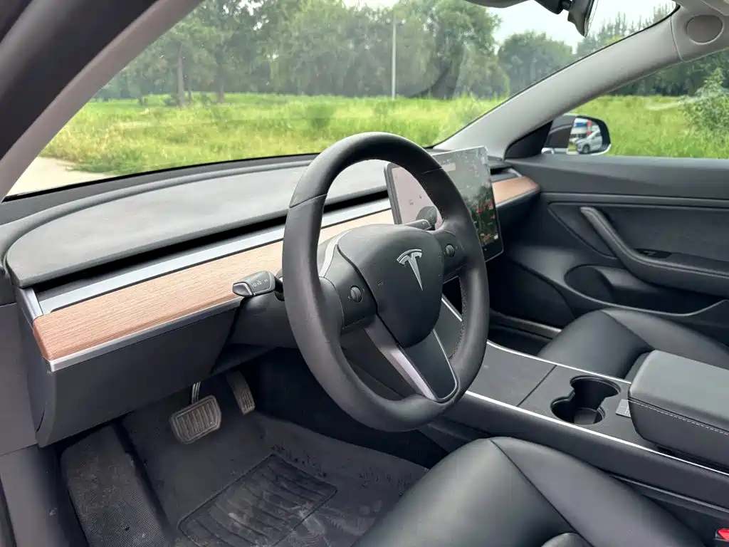 Tesla Model 3 2020 2020 Standard Range Rear-Wheel Drive Upgrade