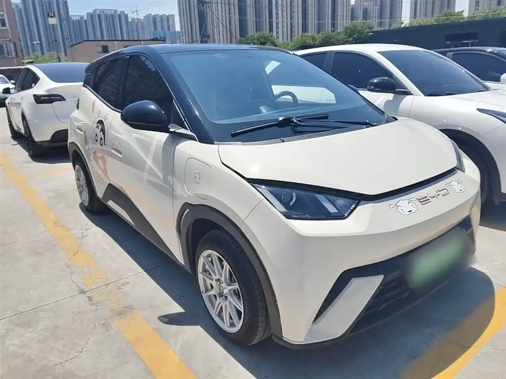 BYD Seagull 2023 Vitality Edition фото 4