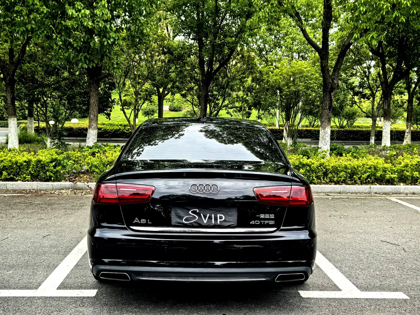 Audi A6L 2018 30th Anniversary TFSI Progressive фото 12