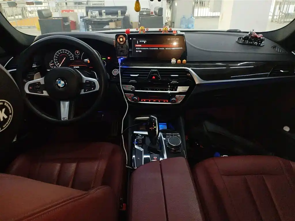 BMW 5 Series 2019 530Li Leading M Sport Package фото 10
