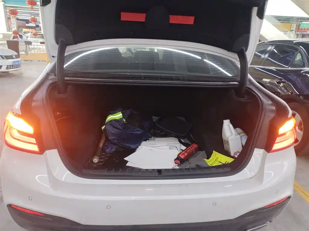 BMW 5 Series 2019 530Li Leading M Sport Package фото 19